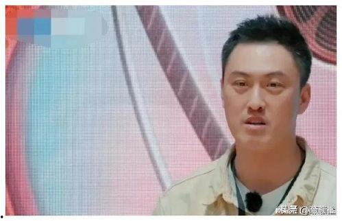 娱乐圈吃瓜爆料小刀,揭秘明星幕后真相,吃瓜爆料一网打尽!